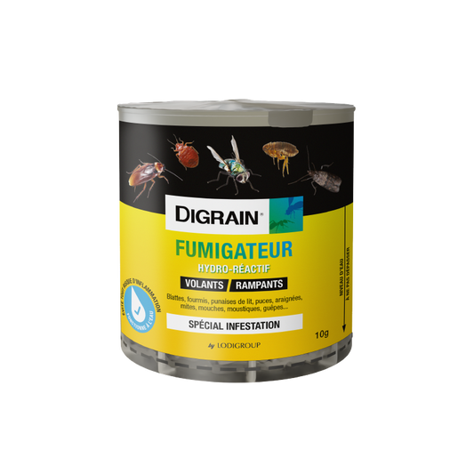 Fumigène-insecticide-le-guide-pratique-pour-désinsectiser-votre-maison-facilement Bear 3D Insecticide