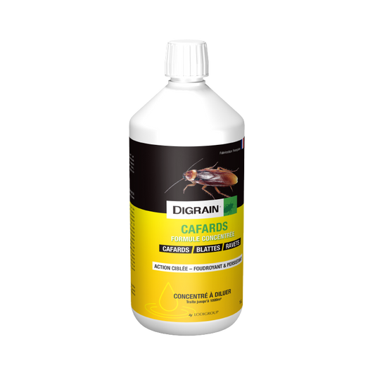Produits-efficaces-Quelle-insecticide-choisir-pour-votre-espace-de-vie Bear 3D Insecticide