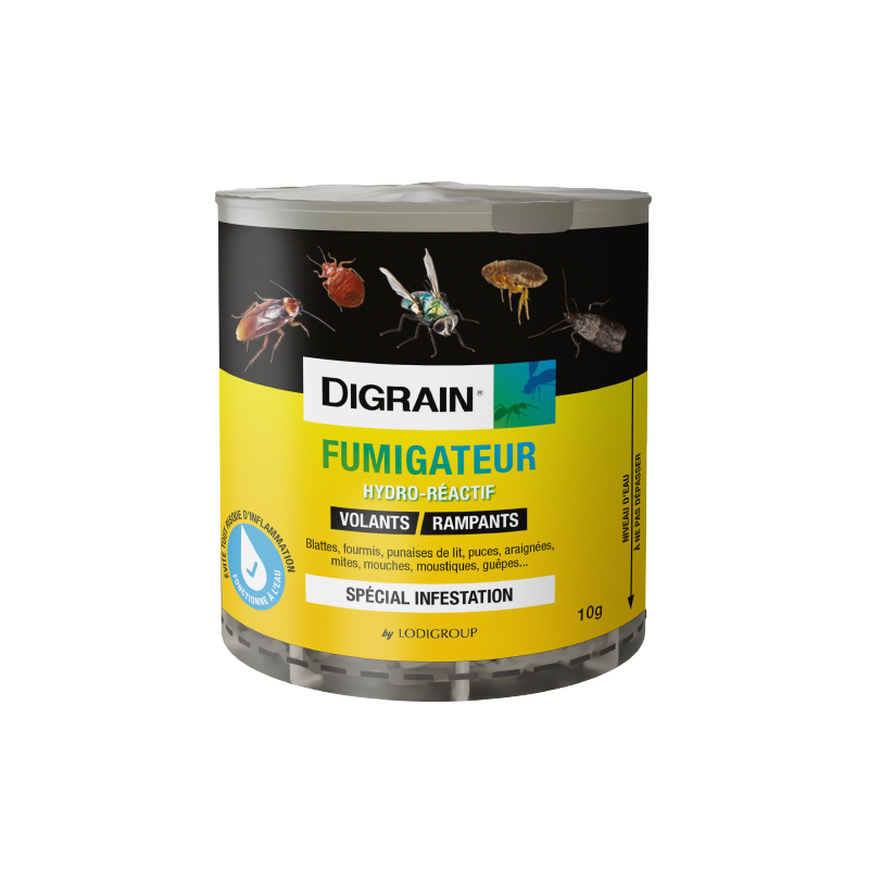 Fumigène-insecticide-le-guide-pratique-pour-désinsectiser-votre-maison-facilement Bear 3D Insecticide