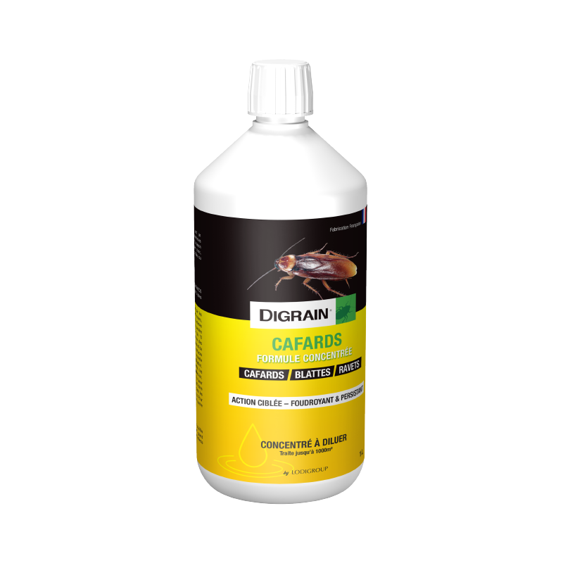 Produits-efficaces-Quelle-insecticide-choisir-pour-votre-espace-de-vie Bear 3D Insecticide