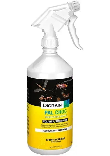 DIGRAIN Laque PAL Choc anti-cafards
