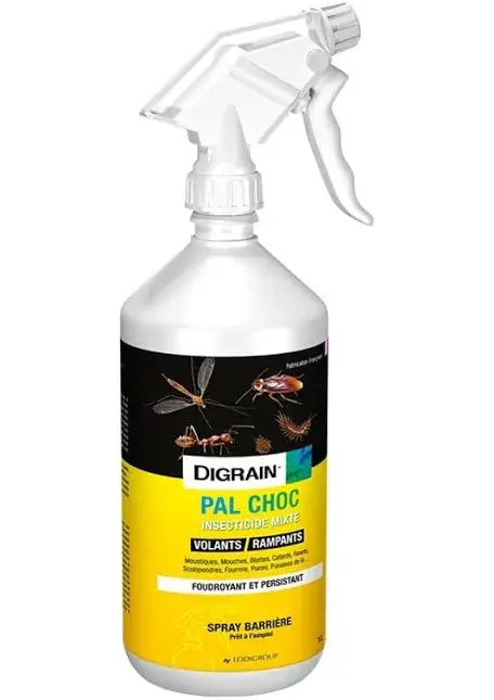 Laque PAL choc cafards Bear 3D Insecticide